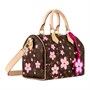 LOUIS VUITTON Сумка кросс-боди Takashi Murakami Cherry Blossom Speedy Bandouliere 25 27975159
