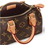 Сумка женская Louis Vuitton, коричневый 22191666