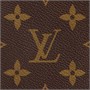 Сумка женская Louis Vuitton, коричневый 22190912
