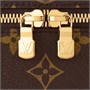 Сумка женская Louis Vuitton, коричневый 22192141