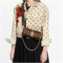 LOUIS VUITTON Сумка кроссбоди Papillon Trunk 27974126