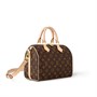 Сумка женская Louis Vuitton, коричневый 22191050