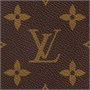 Сумка женская Louis Vuitton, коричневый 22191050