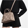 Петит Палас Кожаная Сумка Голубь/Крем LOUIS VUITTON 26479541