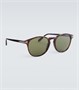 Круглые солнцезащитные очки Lewis Tom Ford, Dark Havana 25622850