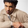 Браслет LV Spike Louis Vuitton, серебряный 22194650