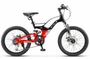 Leader-250 MD 20" Z010 JU135250/LU098263