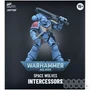 Фигурка JoyToy. Warhammer 40,000: Space Wolves Intercessors 125175