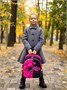 Школьные рюкзаки Steiner SK1-12 SK1-12