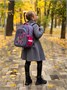 Школьные рюкзаки Steiner SK1-17 SK1-17