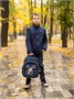 Школьные рюкзаки Steiner SK2-22 SK2-22