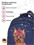 Школьные рюкзаки Steiner SK2-31 SK2-31