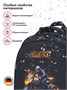 Школьные рюкзаки Steiner SK3-5 SK3-5