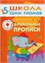 ШСГ Шестой год обучения. Дошкольные прописи. 9785896000000