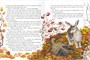 Библиотека Школы Семи Гномов 4+. Серая Шейка и другие сказки 9785903000000