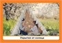 Комплект по теме «Солнце» (конспекты + наглядно-дидактический материал). 3-5 лет. Программа, основанная на ECERS 9786656000000