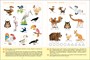 Большая рабочая тетрадь. Развитие речи в детском саду и дома. 4-5 лет. ФГОС 9786678000000