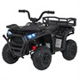 Детский электромобиль квадроцикл X-Robust (черный, 24V, 4WD, пульт, EVA) - XMX651-24V-4WD-BLACK XMX651-24V-4WD-BLACK