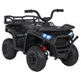 Детский электромобиль квадроцикл X-Robust (черный, 24V, 4WD, пульт, EVA) - XMX651-24V-4WD-BLACK XMX651-24V-4WD-BLACK