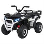 Детский электромобиль квадроцикл X-Robust (белый, 24V, 4WD, пульт, EVA) - XMX651-24V-4WD-WHITE XMX651-24V-4WD-WHITE