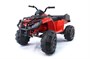 Детский квадроцикл Grizzly Next Red 4WD с пультом управления 2.4G - BDM0909 BDM0909-RED-4RC