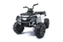 Детский квадроцикл Grizzly Next White 4WD с пультом управления 2.4G - BDM0909 BDM0909-WHITE-4RC