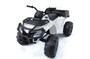 Детский квадроцикл Grizzly Next White 4WD с пультом управления 2.4G - BDM0909 BDM0909-WHITE-4RC