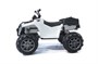 Детский квадроцикл Grizzly Next White 4WD с пультом управления 2.4G - BDM0909 BDM0909-WHITE-4RC