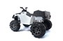 Детский квадроцикл Grizzly Next White 4WD с пультом управления 2.4G - BDM0909 BDM0909-WHITE-4RC