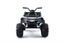 Детский квадроцикл Grizzly Next White 4WD с пультом управления 2.4G - BDM0909 BDM0909-WHITE-4RC