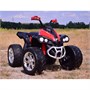 Детский квадроцикл с пультом управления 2WD RED - FB-6677 FB-6677-RED