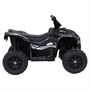 Детский квадроцикл HL Renegade 2WD EVA 12V - HL578-CARBON HL578-CARBON