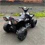 Детский квадроцикл HL Renegade 2WD EVA 12V - HL578-CARBON HL578-CARBON