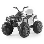 Детский квадроцикл Grizzly ATV White 12V с пультом управления 2.4G- BDM0906 BDM0906-WHITE-RC