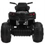 Детский квадроцикл Grizzly ATV 4WD Black 12V с пультом управления - BDM0906-4 BDM0906-4-BLACK-RC
