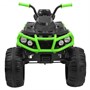 Детский квадроцикл Grizzly ATV Green/Black 12V с пультом управления - BDM0906 BDM0906-GREEN-RC