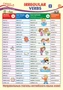 ПО-14463 Плакат А3. Английский язык в 4 классе. Irregular Verbs 2 (Неправильные глаголы 2) 1933278743