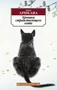 Хроники странствующего кота (Азбука-классика (pocket-book)) 196531728