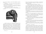 Этюд в багровых тонах. Приключения Шерлока Холмса (Артур Конан Дойл и др.) 668213267
