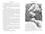 Сокровище Картахены. Береговое братство. Морские титаны (илл) 94191569