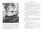 Сокровище Картахены. Береговое братство. Морские титаны (илл) 94191569