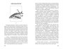 Ветер крепчает 1264151858