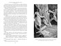 Королева Марго (Иностранная литература. Большие книги) 561212693