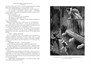 Королева Марго (Иностранная литература. Большие книги) 561212693