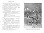 Сандокан. Два тигра. Повелитель морей. Завоевание империи 754906021