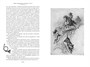 Рассказы о животных (Иностранная литература. Большие книги) 189252024