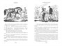 Всадник без головы. Морской волчонок (с иллюстрациями) 1355878610