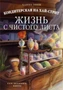 Кондитерская на Хай-стрит: жизнь с чистого листа 536324685