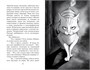 Кот, который любил книги (Настроение читать) 1939874737