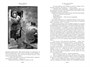 Зов предков. Белый Клык. Сказания о Дальнем Севере 881069237